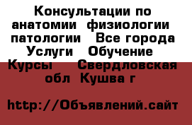 Консультации по анатомии, физиологии, патологии - Все города Услуги » Обучение. Курсы   . Свердловская обл.,Кушва г.